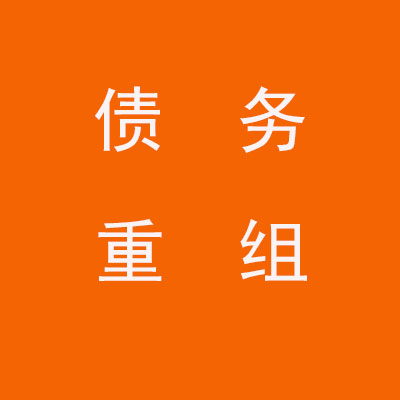 通什镇个人债务重组优化